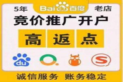 某零售企业网络推广竞价的成功策略分享